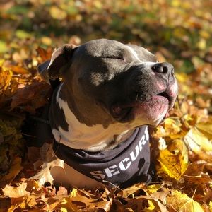 Meet your Posher, Alexandra